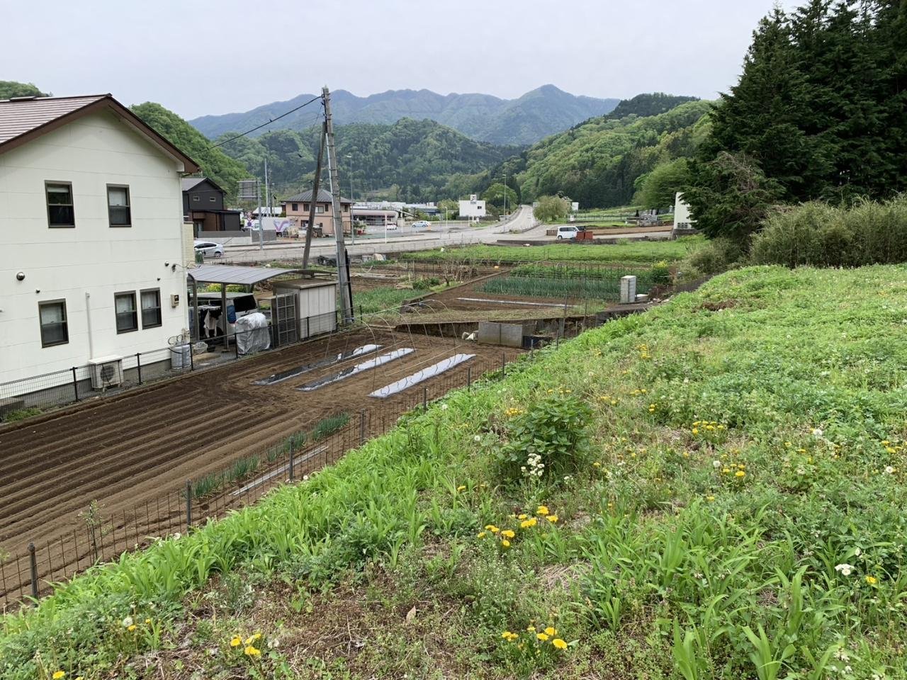 禾生駅、土地